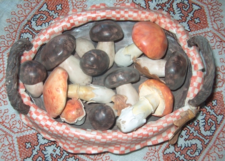 Ceramica: Funghi di bosco, realizzata da Di Lodovico Maria Grazia